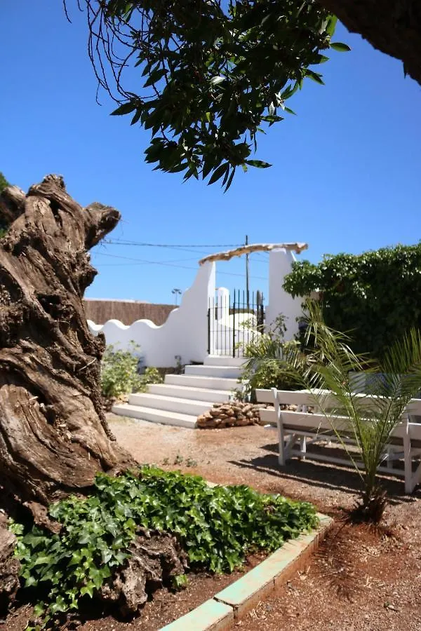 Hotel Flamingo Es Canar  Spain
