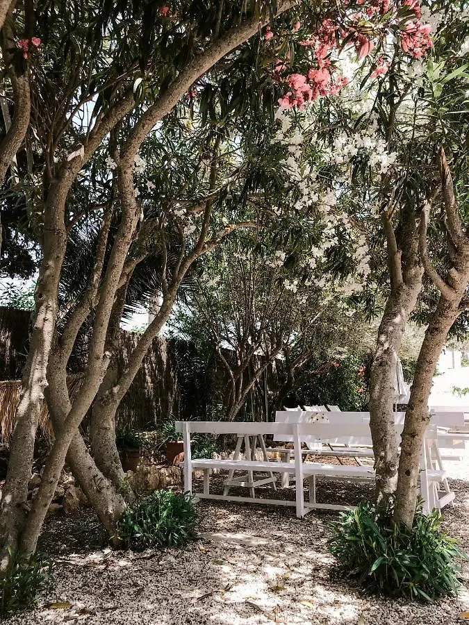 Hotel Flamingo Es Canar  Es Canar (Ibiza)